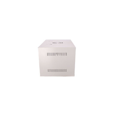 Data Wall Box Network Cabinet con pannello laterale rimovibile e Best seller di muffa privata